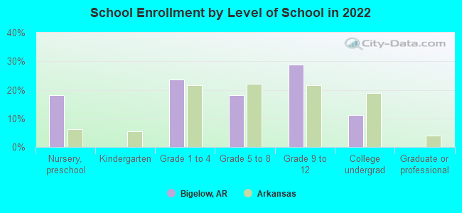 School Enrollment by Level of School in 2022