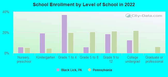 School Enrollment by Level of School in 2022