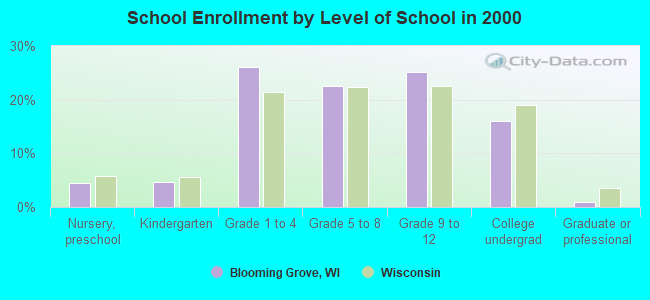 School Enrollment by Level of School in 2000