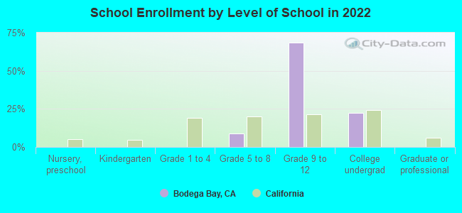 School Enrollment by Level of School in 2022