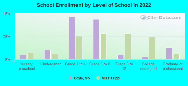 School Enrollment by Level of School in 2022