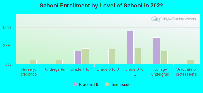 School Enrollment by Level of School in 2022