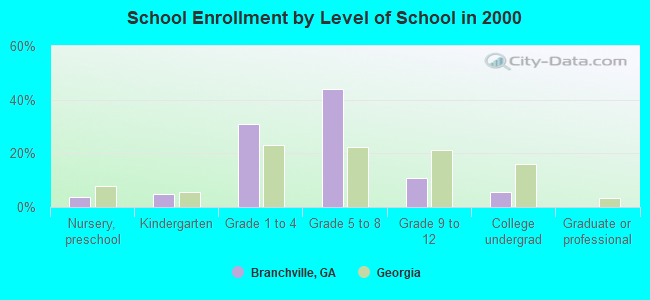 School Enrollment by Level of School in 2000