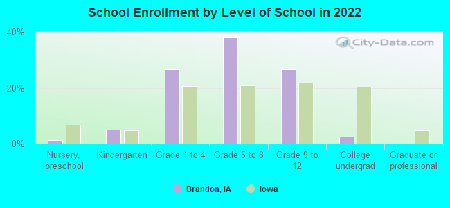 School Enrollment by Level of School in 2022