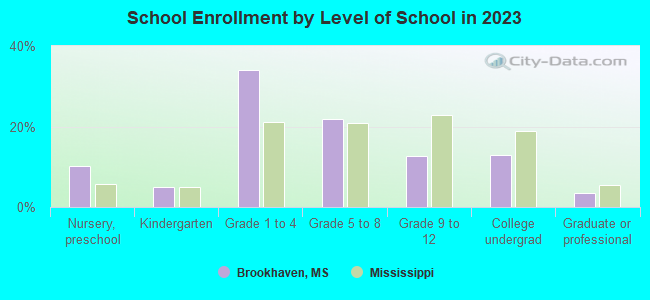 About Brookhaven  Schools, Demographics, Things to Do 