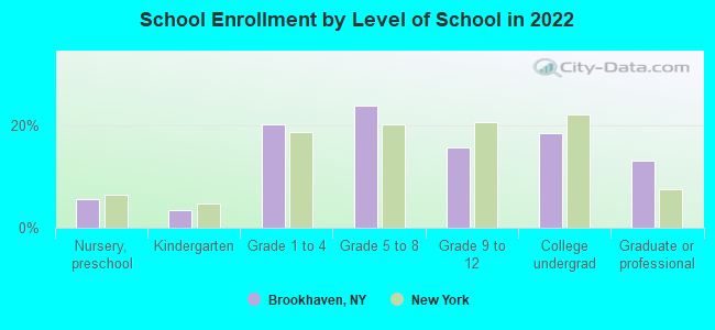 School Enrollment by Level of School in 2022