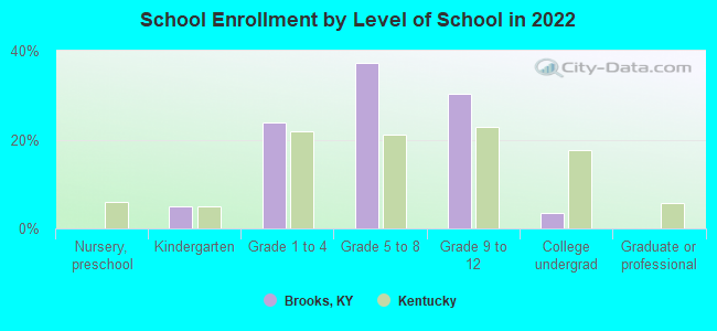 School Enrollment by Level of School in 2022