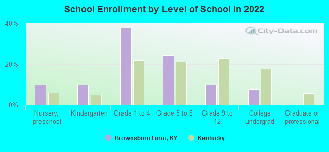 School Enrollment by Level of School in 2022