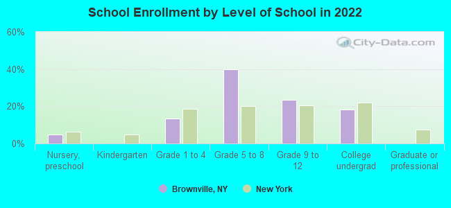 School Enrollment by Level of School in 2022