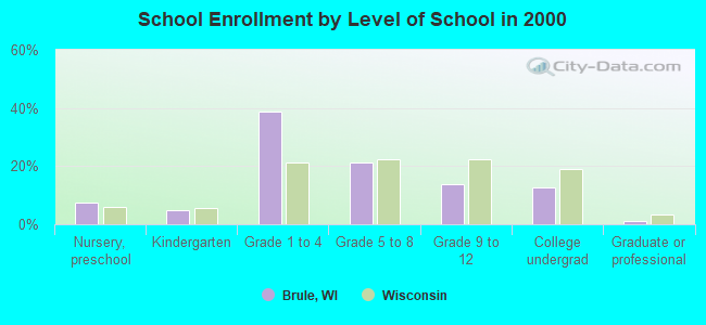 School Enrollment by Level of School in 2000