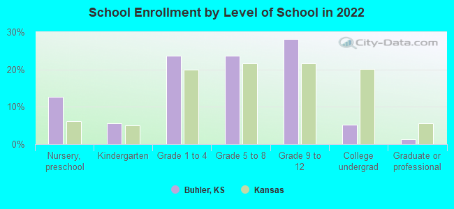 School Enrollment by Level of School in 2022