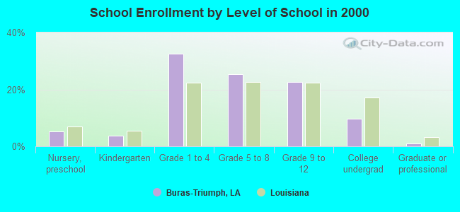 School Enrollment by Level of School in 2000