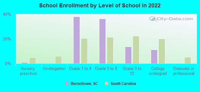 School Enrollment by Level of School in 2022