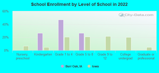 School Enrollment by Level of School in 2022