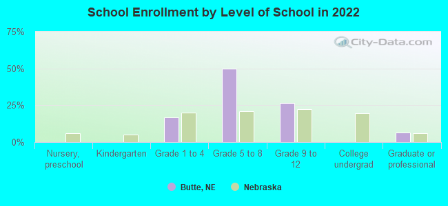 School Enrollment by Level of School in 2022