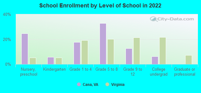 School Enrollment by Level of School in 2022