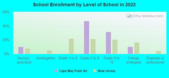 School Enrollment by Level of School in 2022