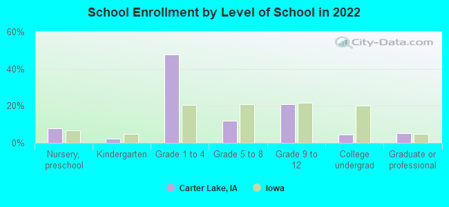 School Enrollment by Level of School in 2022