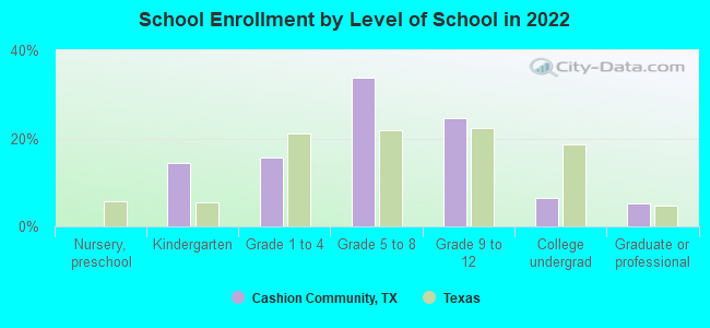 School Enrollment by Level of School in 2022