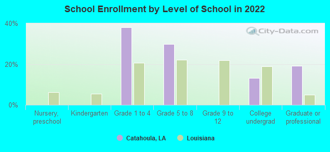 School Enrollment by Level of School in 2022