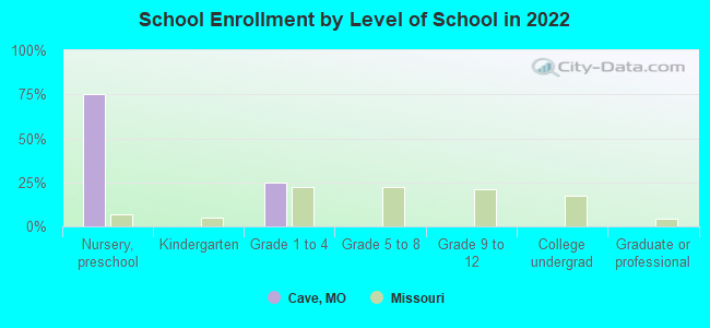 School Enrollment by Level of School in 2022