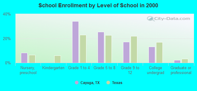 School Enrollment by Level of School in 2000