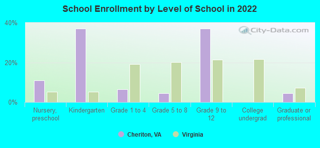 School Enrollment by Level of School in 2022