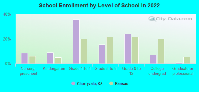 School Enrollment by Level of School in 2022