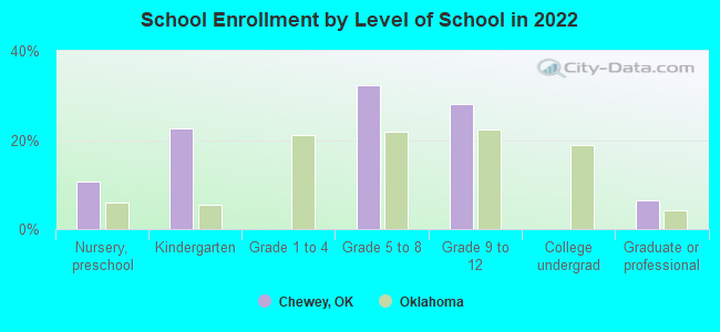 School Enrollment by Level of School in 2022