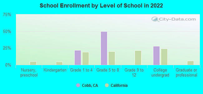 School Enrollment by Level of School in 2022