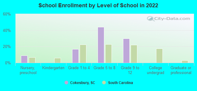 School Enrollment by Level of School in 2022