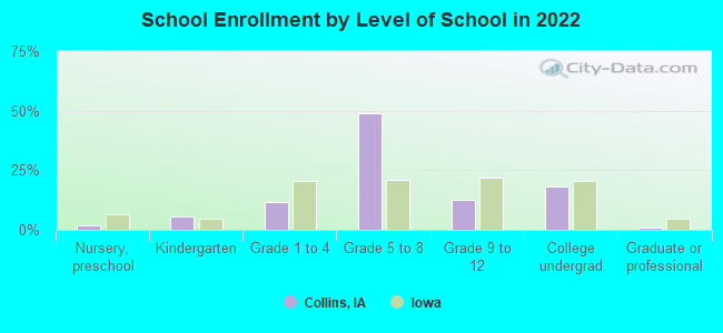 School Enrollment by Level of School in 2022