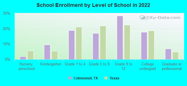 School Enrollment by Level of School in 2022