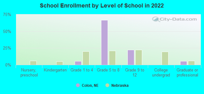 School Enrollment by Level of School in 2022