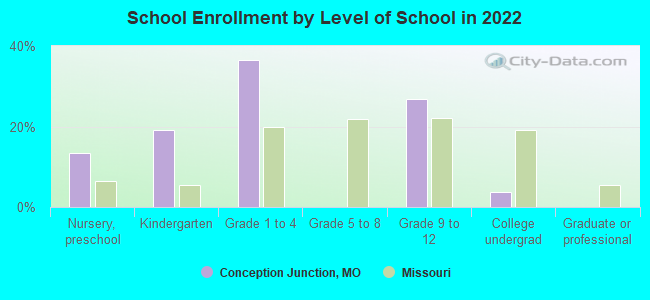 School Enrollment by Level of School in 2022