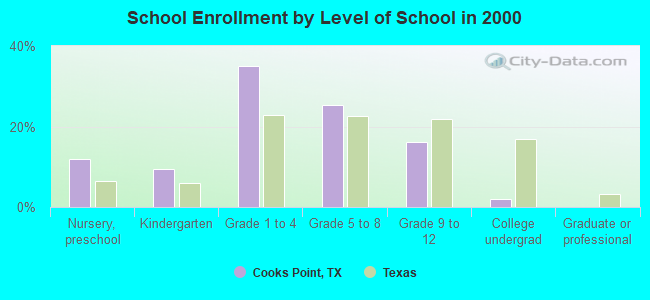 School Enrollment by Level of School in 2000