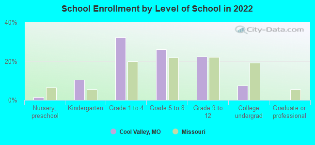 School Enrollment by Level of School in 2022