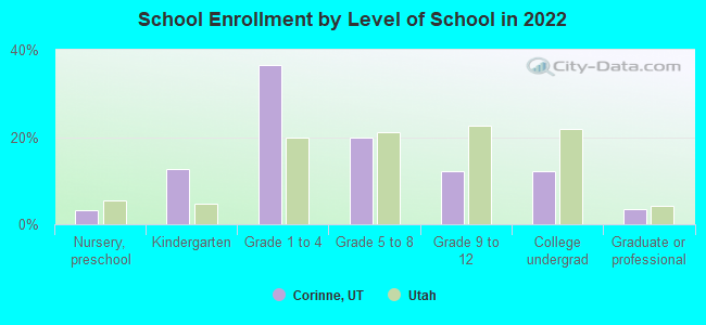 School Enrollment by Level of School in 2022