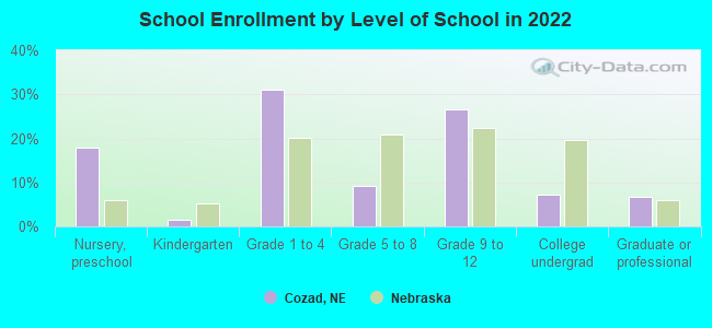 School Enrollment by Level of School in 2022