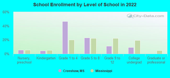 School Enrollment by Level of School in 2022