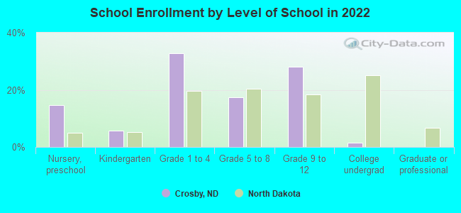 School Enrollment by Level of School in 2022