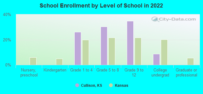 School Enrollment by Level of School in 2022