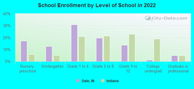 School Enrollment by Level of School in 2022