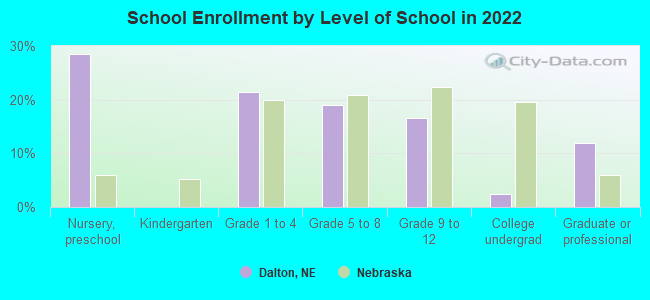 School Enrollment by Level of School in 2022