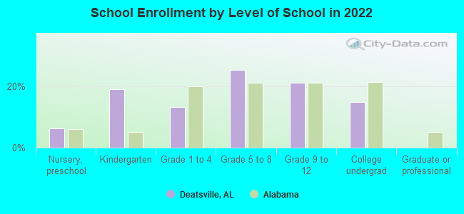 School Enrollment by Level of School in 2022