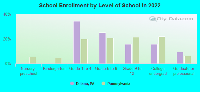 School Enrollment by Level of School in 2022