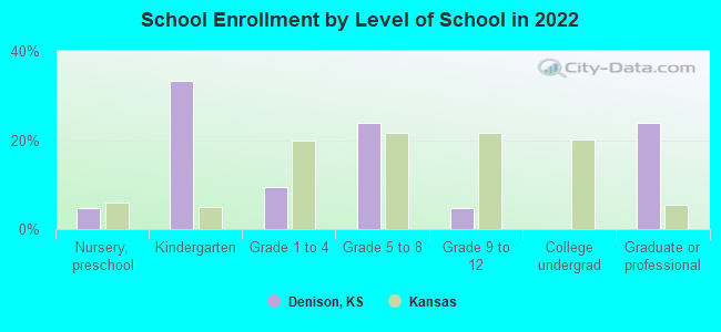 School Enrollment by Level of School in 2022