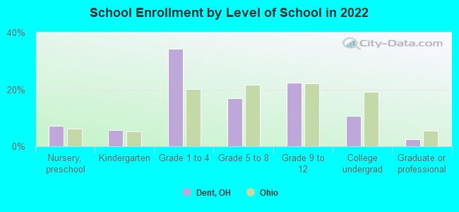 School Enrollment by Level of School in 2022