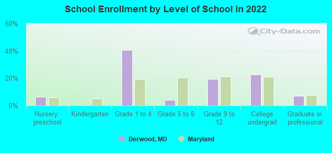 School Enrollment by Level of School in 2022