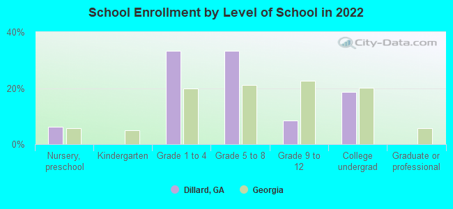 School Enrollment by Level of School in 2022